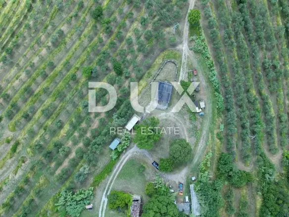 Land In Motovun, Croatia (2.473 M²)