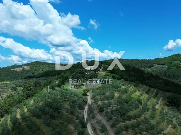 Land In Motovun, Croatia (2.473 M²)