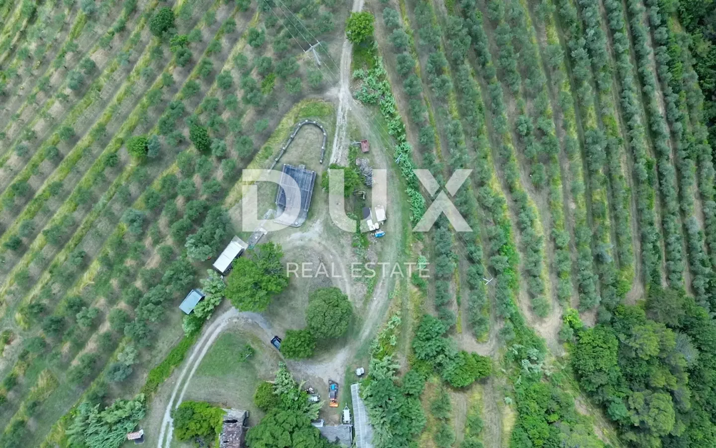 Land In Motovun, Croatia (2.473 M²)