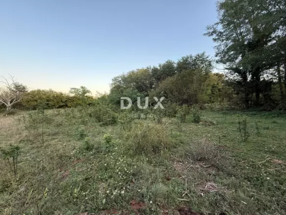 Land In Labin, Croatia (4.460 M²)