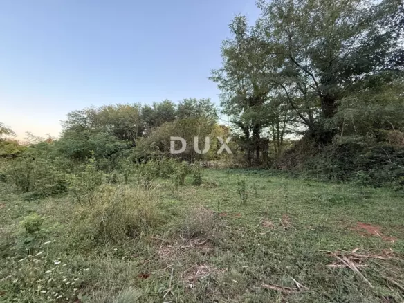 Land In Labin, Croatia (4.460 M²)