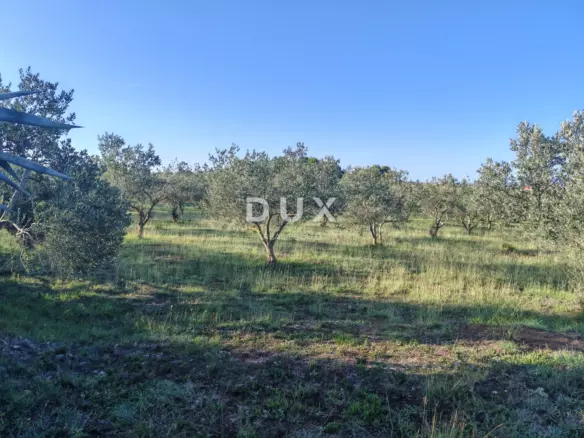 Land In Crvene Kuće, Croatia (6.169 M²)