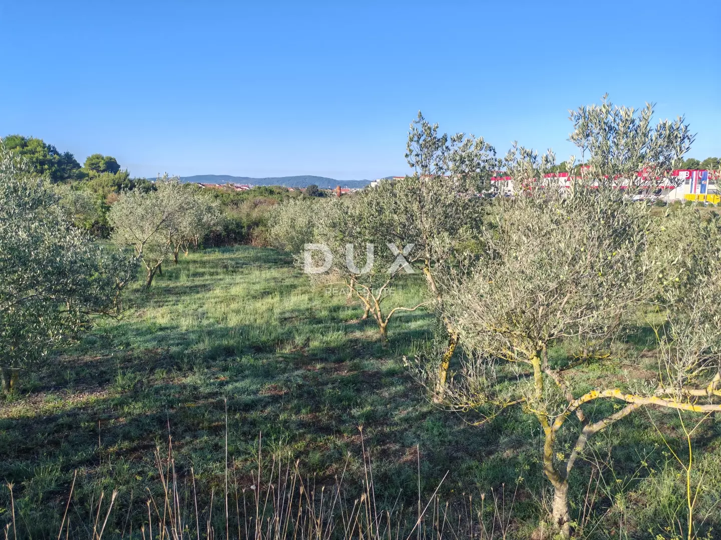 Land In Crvene Kuće, Croatia (6.169 M²)