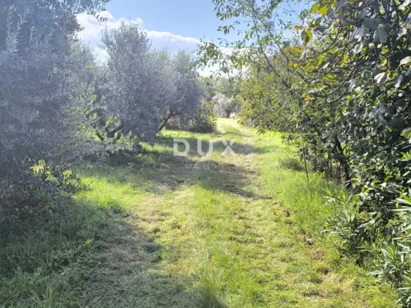 Land In Busoler, Croatia (5.793 M²)