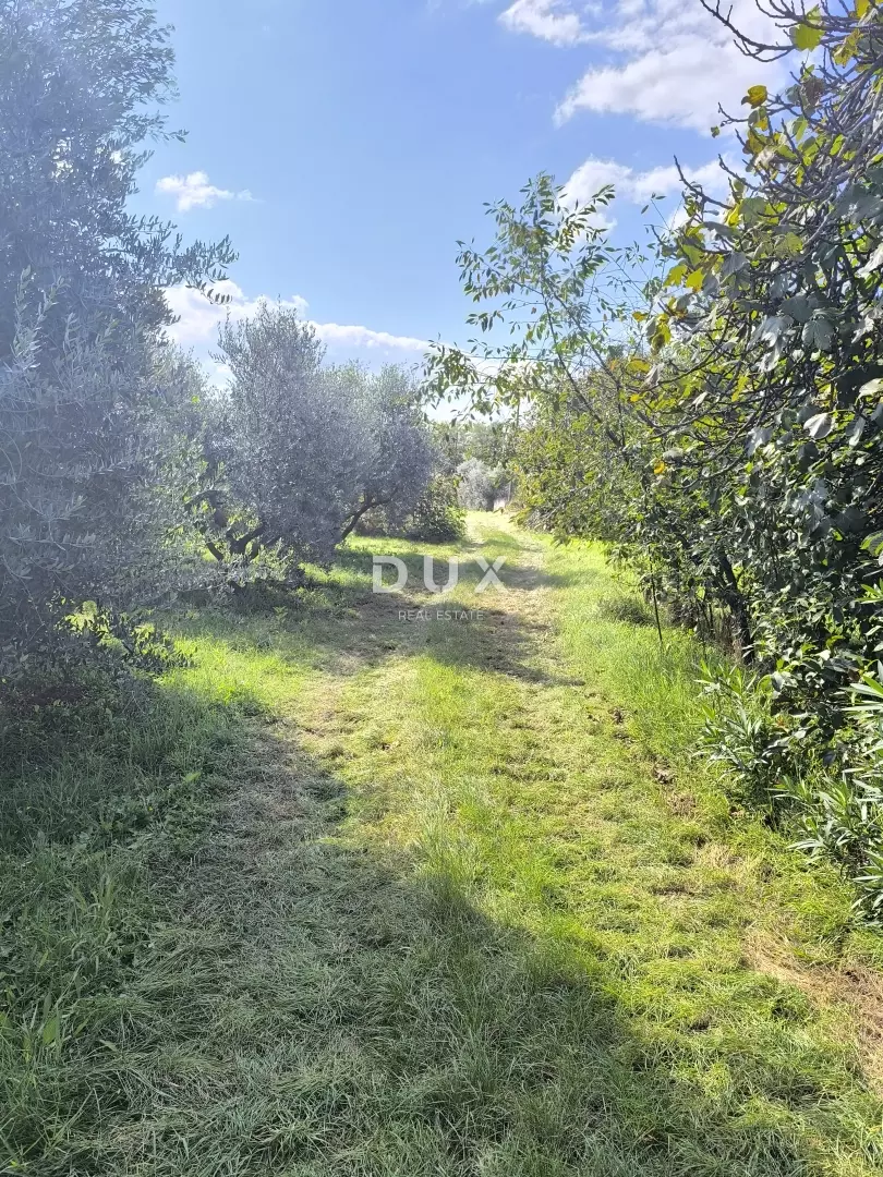 Land In Busoler, Croatia (5.793 M²)