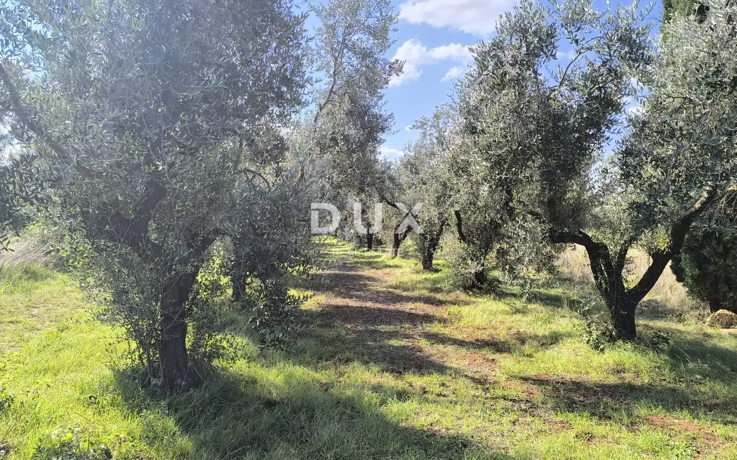 Land In Busoler, Croatia (5.793 M²)