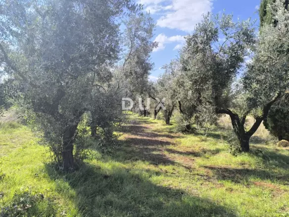 Land In Busoler, Croatia (5.793 M²)