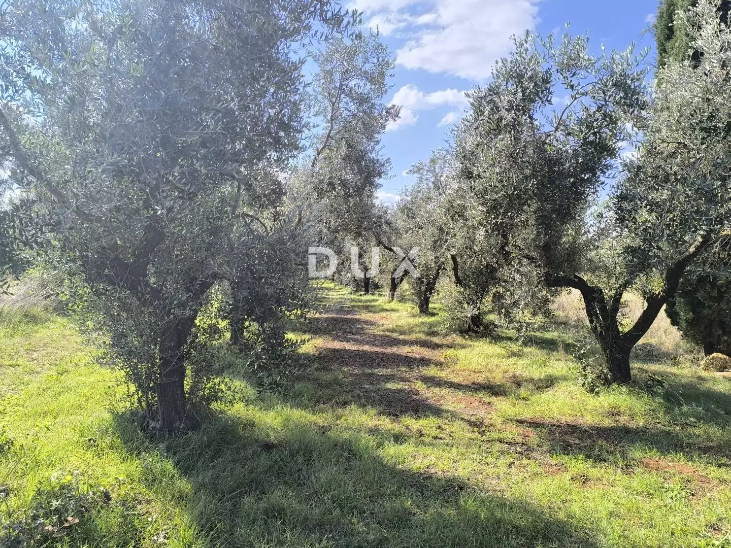 Land In Busoler, Croatia (5.793 M²)