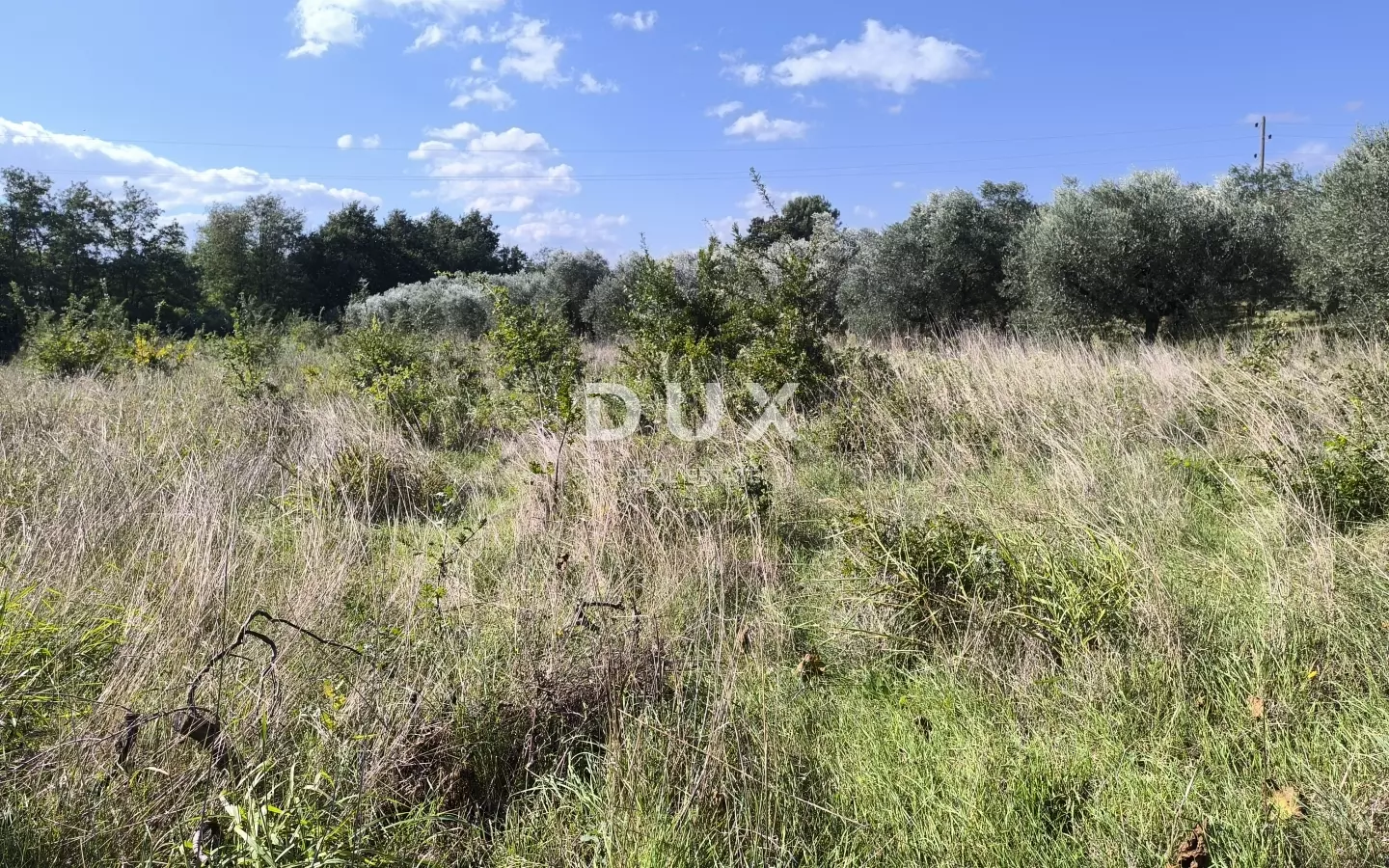 Land In Busoler, Croatia (5.793 M²)