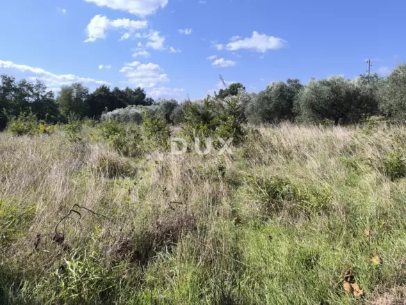 Land In Busoler, Croatia (5.793 M²)