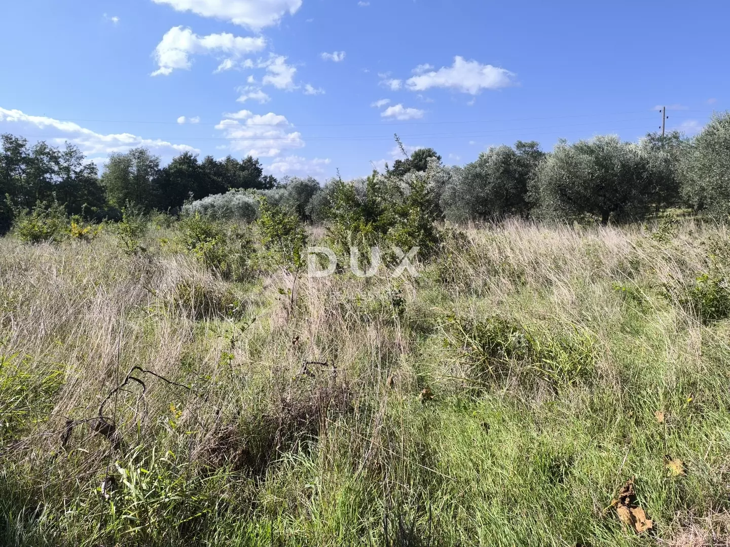 Land In Busoler, Croatia (5.793 M²)