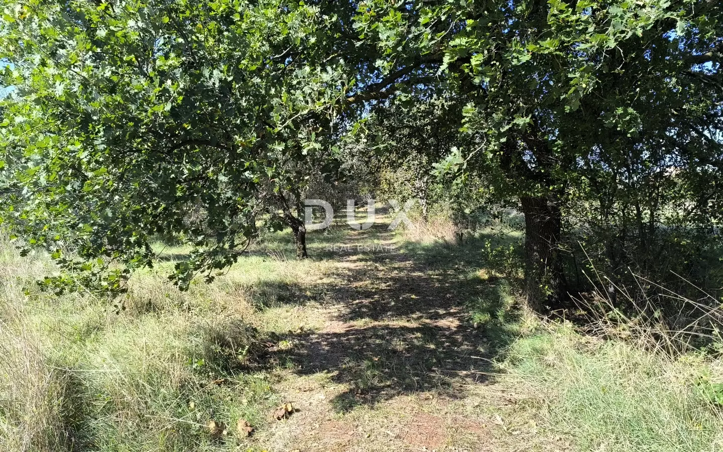 Land In Busoler, Croatia (5.793 M²)
