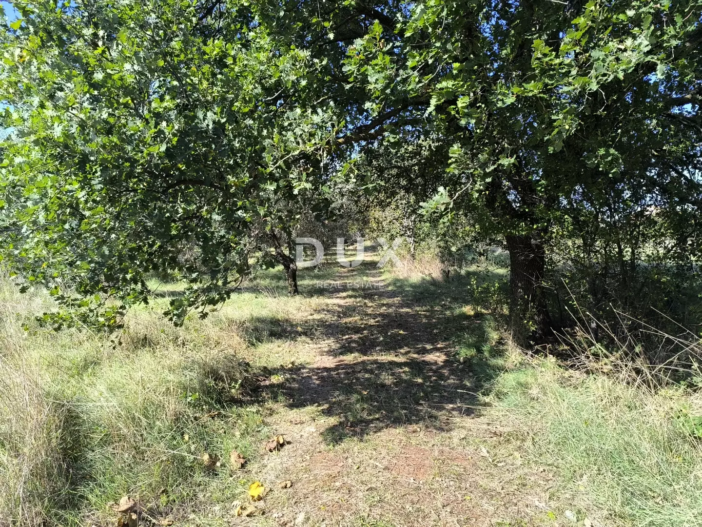 Land In Busoler, Croatia (5.793 M²)