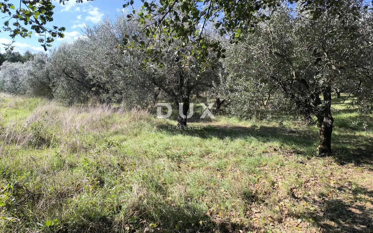 Land In Busoler, Croatia (5.793 M²)