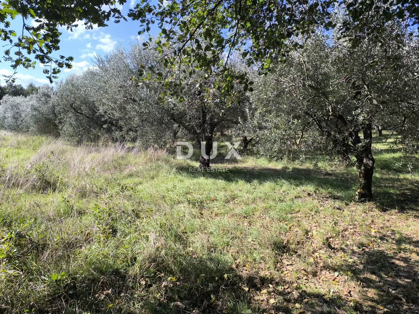 Land In Busoler, Croatia (5.793 M²)