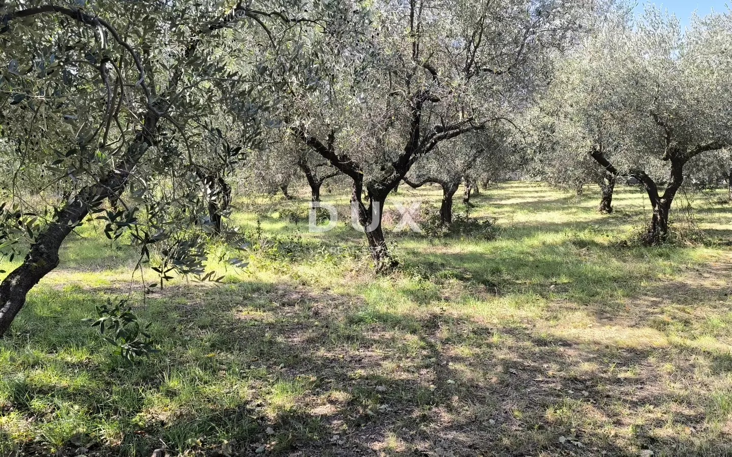 Land In Busoler, Croatia (5.793 M²)