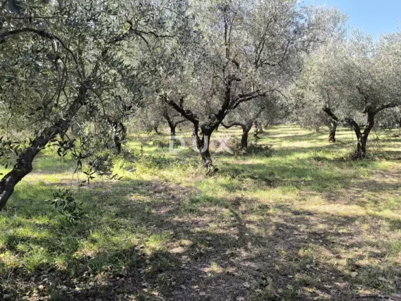 Land In Busoler, Croatia (5.793 M²)