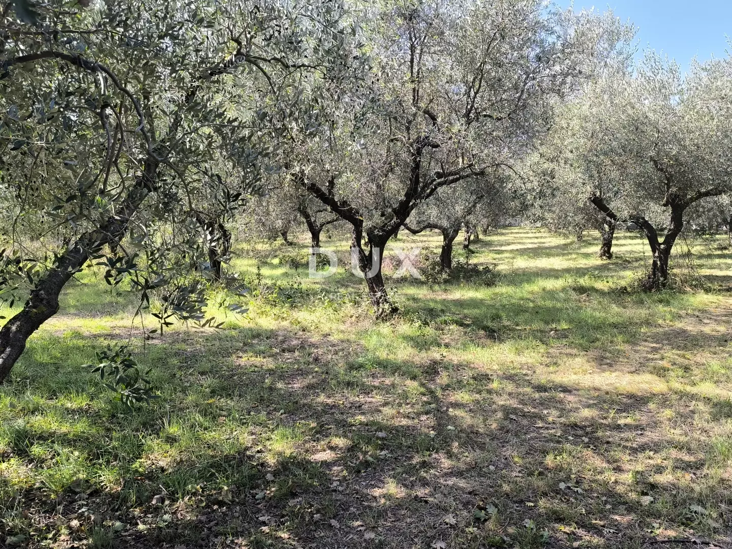 Land In Busoler, Croatia (5.793 M²)