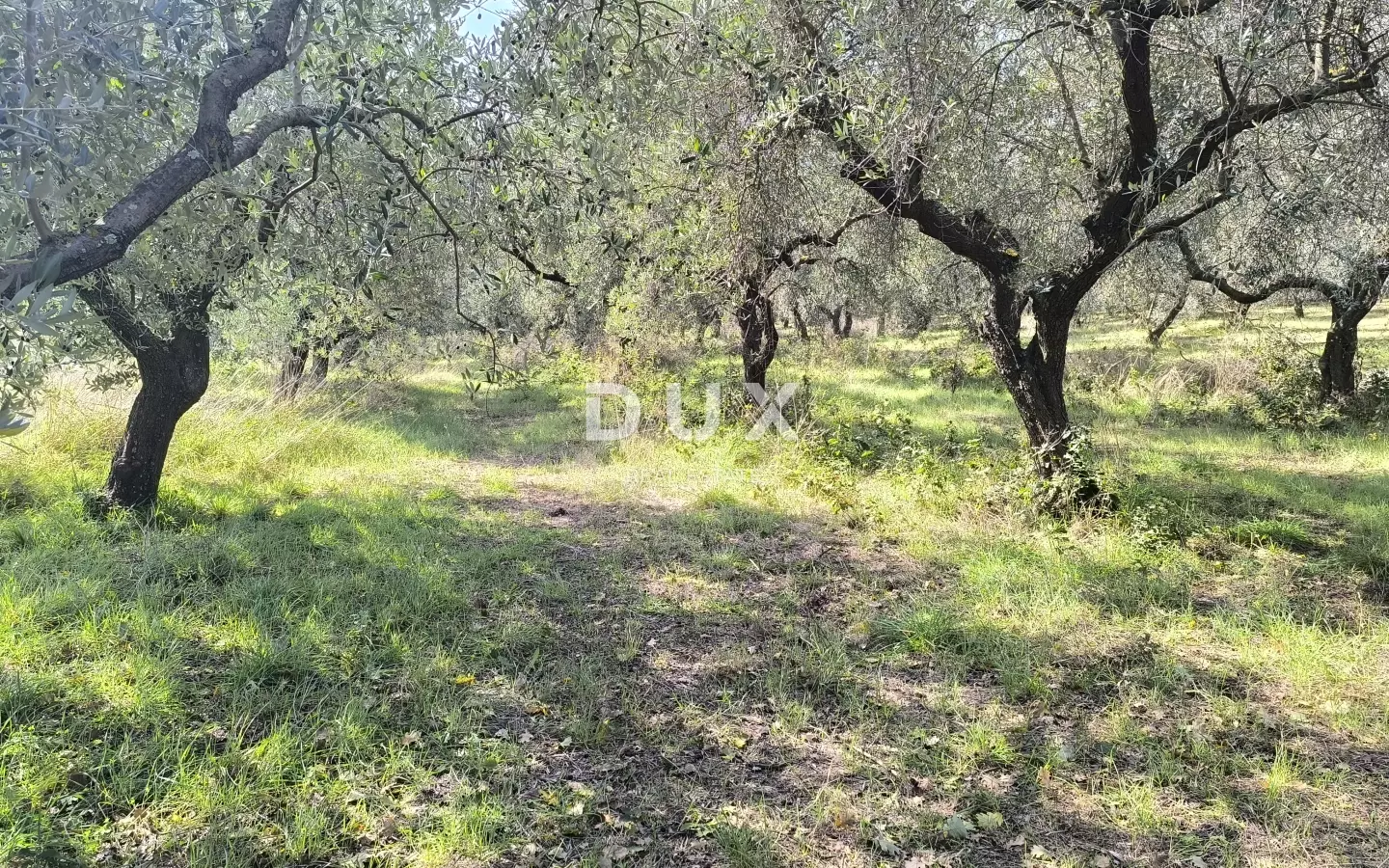 Land In Busoler, Croatia (5.793 M²)