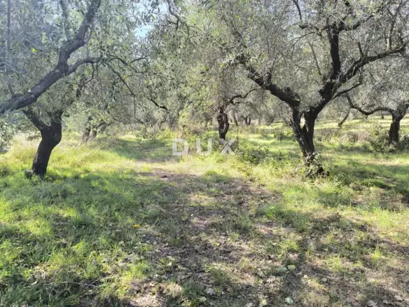 Land In Busoler, Croatia (5.793 M²)