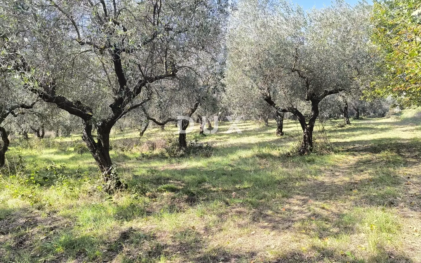 Land In Busoler, Croatia (5.793 M²)