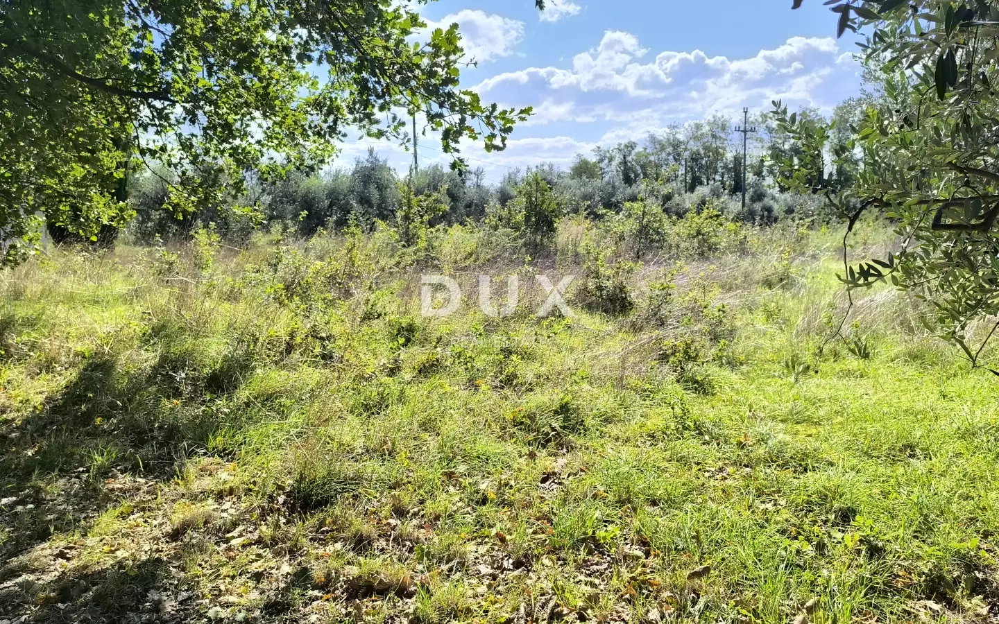 Land In Busoler, Croatia (5.793 M²)