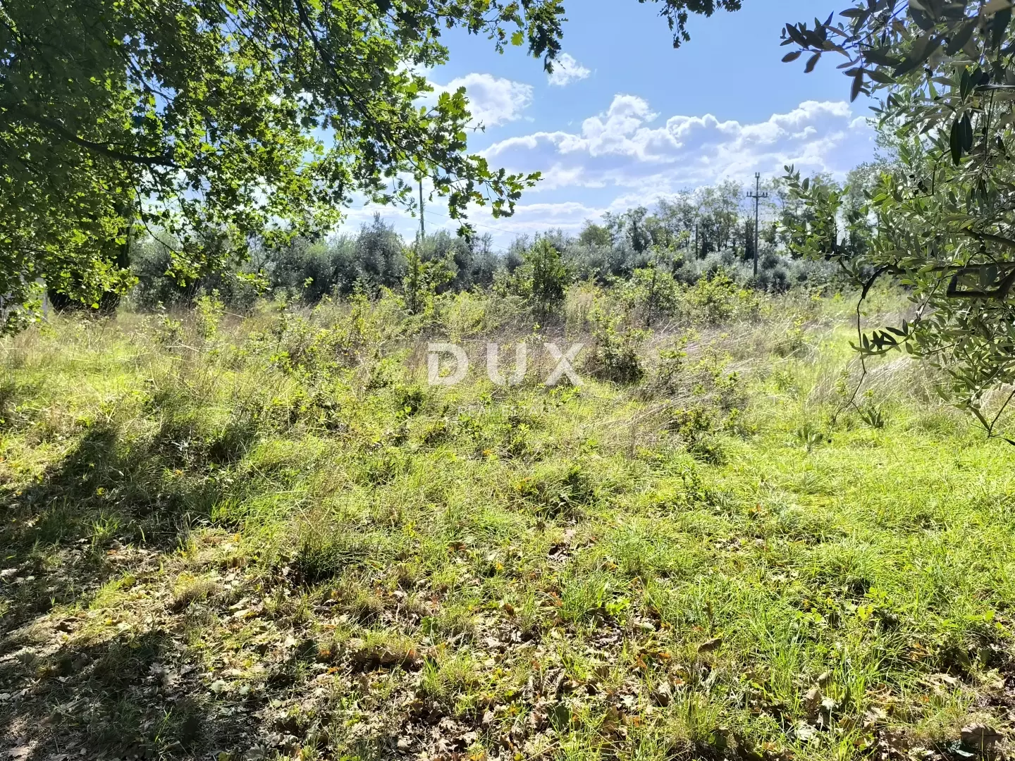 Land In Busoler, Croatia (5.793 M²)