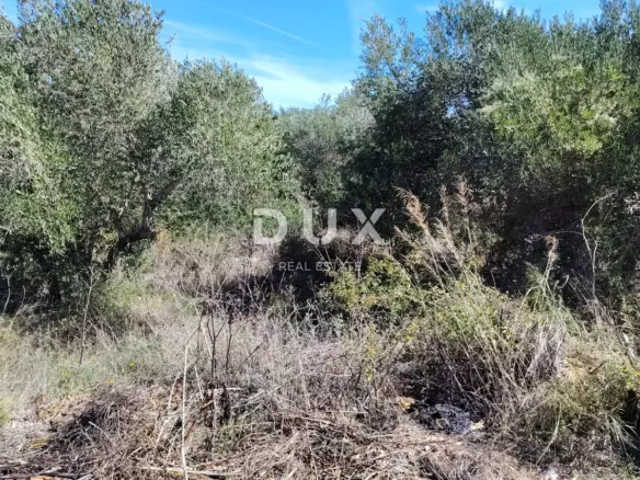 Land In Božava, Croatia (504 M²)
