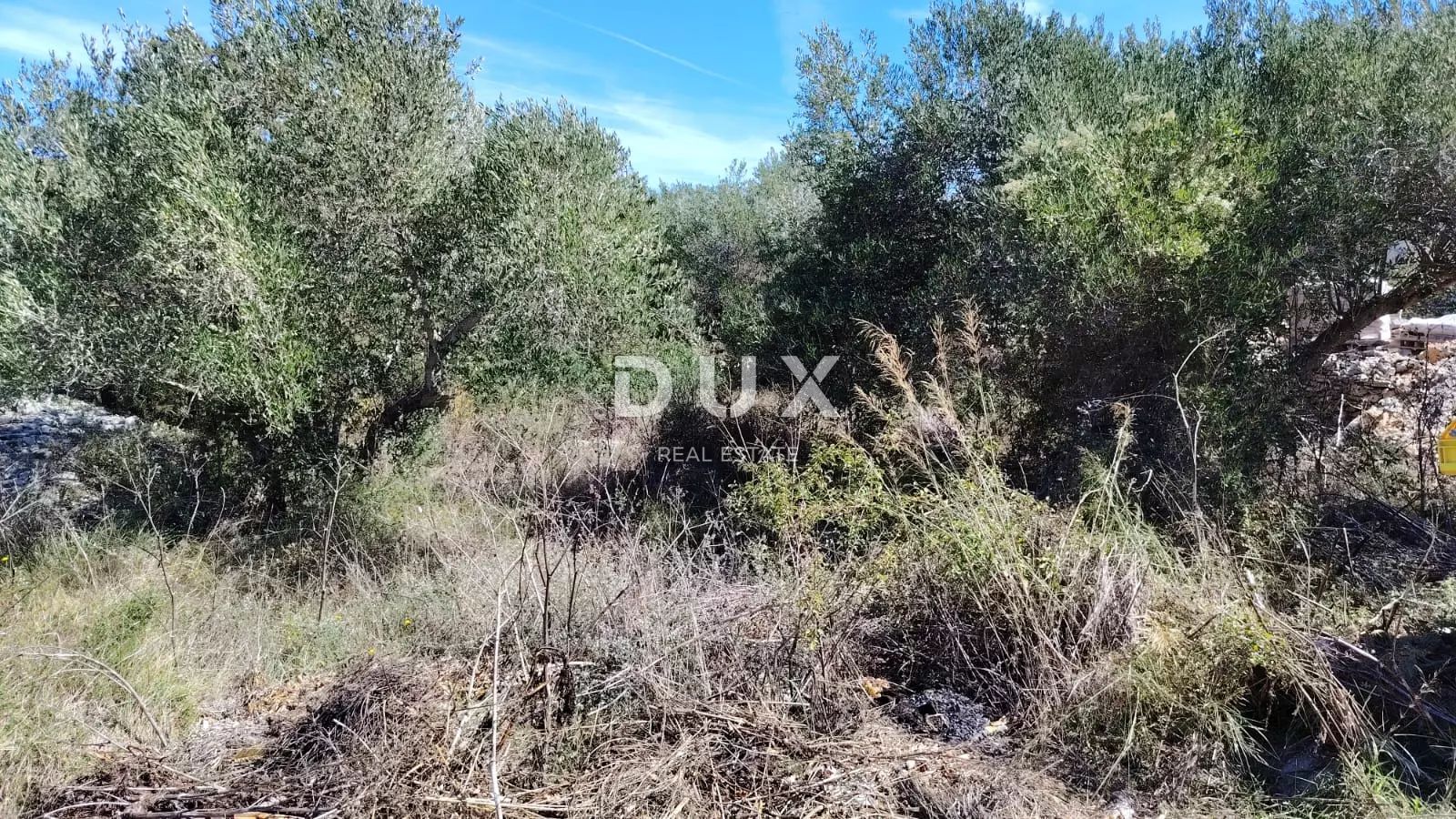 Land In Božava, Croatia (504 M²)