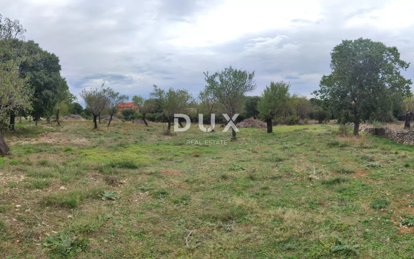 Land In Tinj, Croatia (3.596 M²)