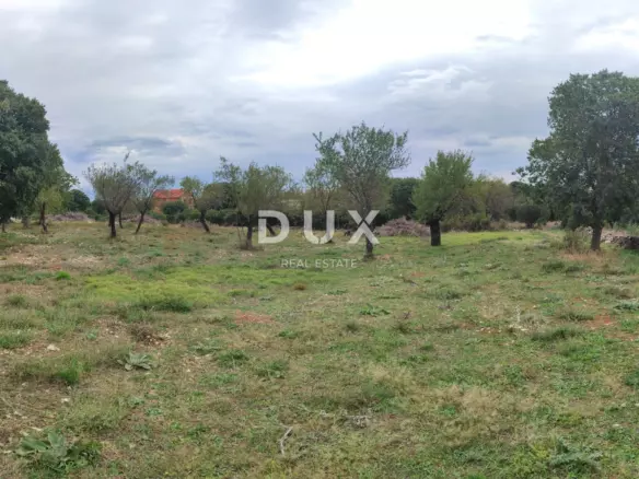 Land In Tinj, Croatia (3.596 M²)
