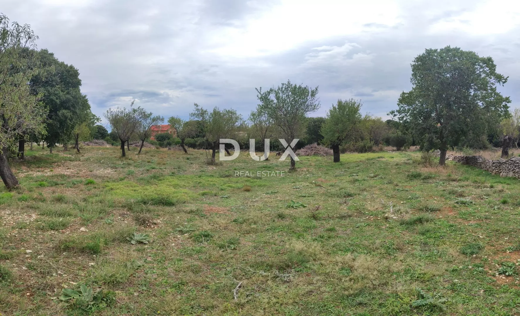 Land In Tinj, Croatia (3.596 M²)