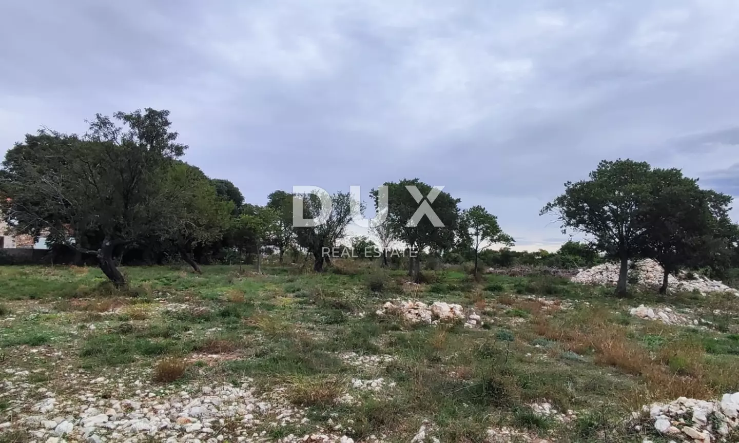 Land In Tinj, Croatia (3.596 M²)
