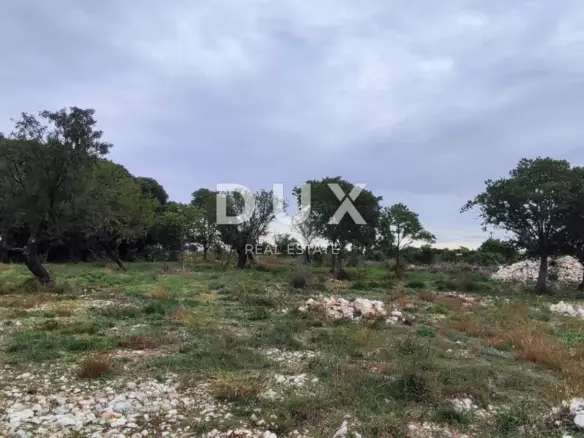 Land In Tinj, Croatia (3.596 M²)