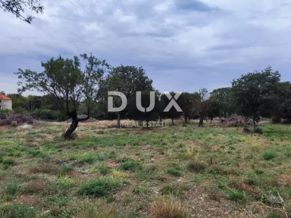 Land In Tinj, Croatia (3.596 M²)