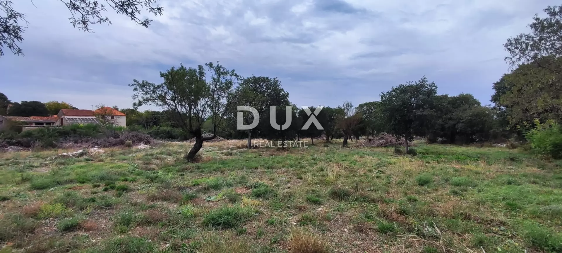 Land In Tinj, Croatia (3.596 M²)