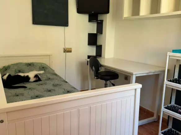 3-bedroom Bungalow In Torrevieja, Spain (78 M²)