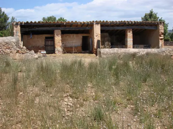 5-bedroom Country House In Palma De Mallorca, Spain (1.969 M²)