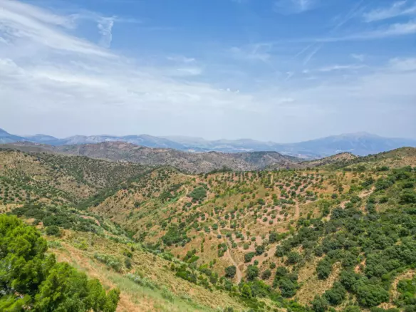 8-bedroom Country House In Colmenar, Spain (1.094 M²)