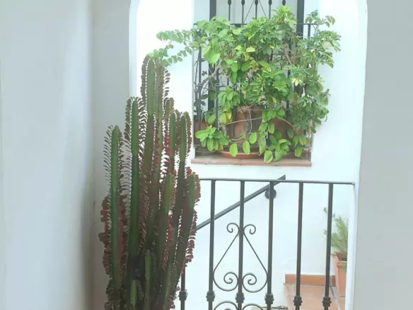 2-bedroom Apartment In Nerja, Spain (110 M²)