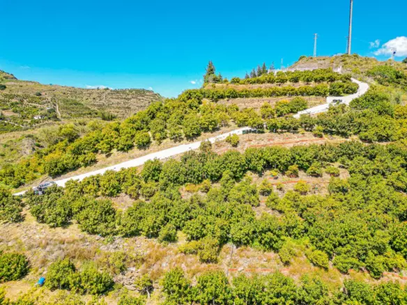1-bedroom Villa In La Viñuela, Spain (65 M²)