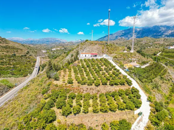 1-bedroom Villa In La Viñuela, Spain (65 M²)