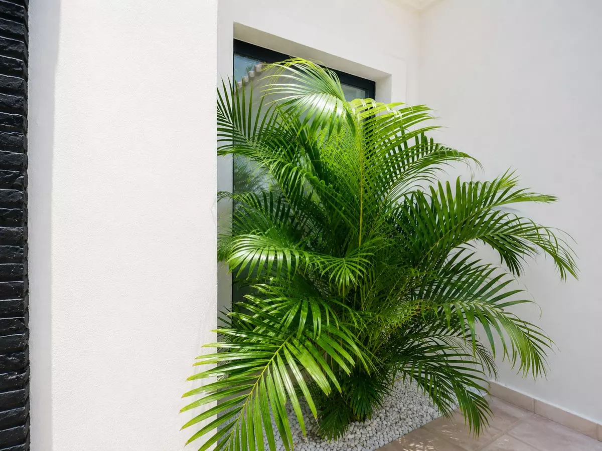 6-bedroom Villa In Estepona, Spain (399 M²)
