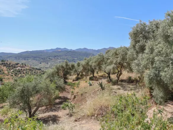 3-bedroom Villa In Guaro, Spain (184 M²)