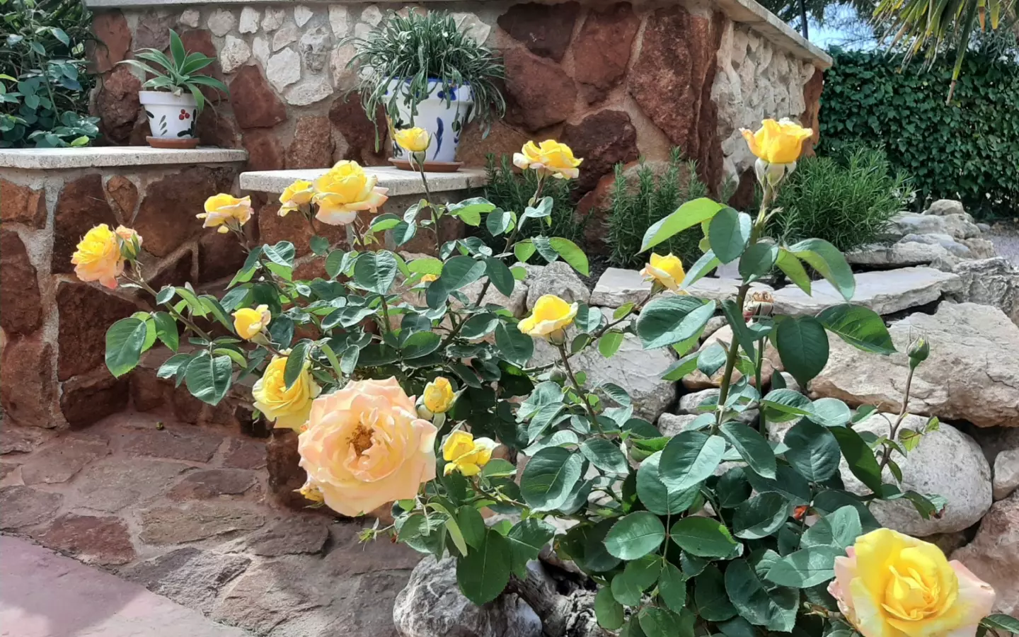 6-bedroom Detached Villa In Abanilla, Spain (455 M²)