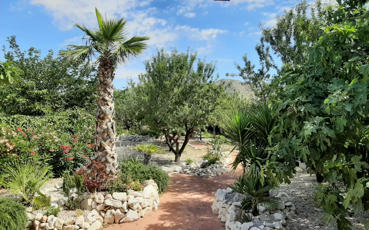 6-bedroom Detached Villa In Abanilla, Spain (455 M²)