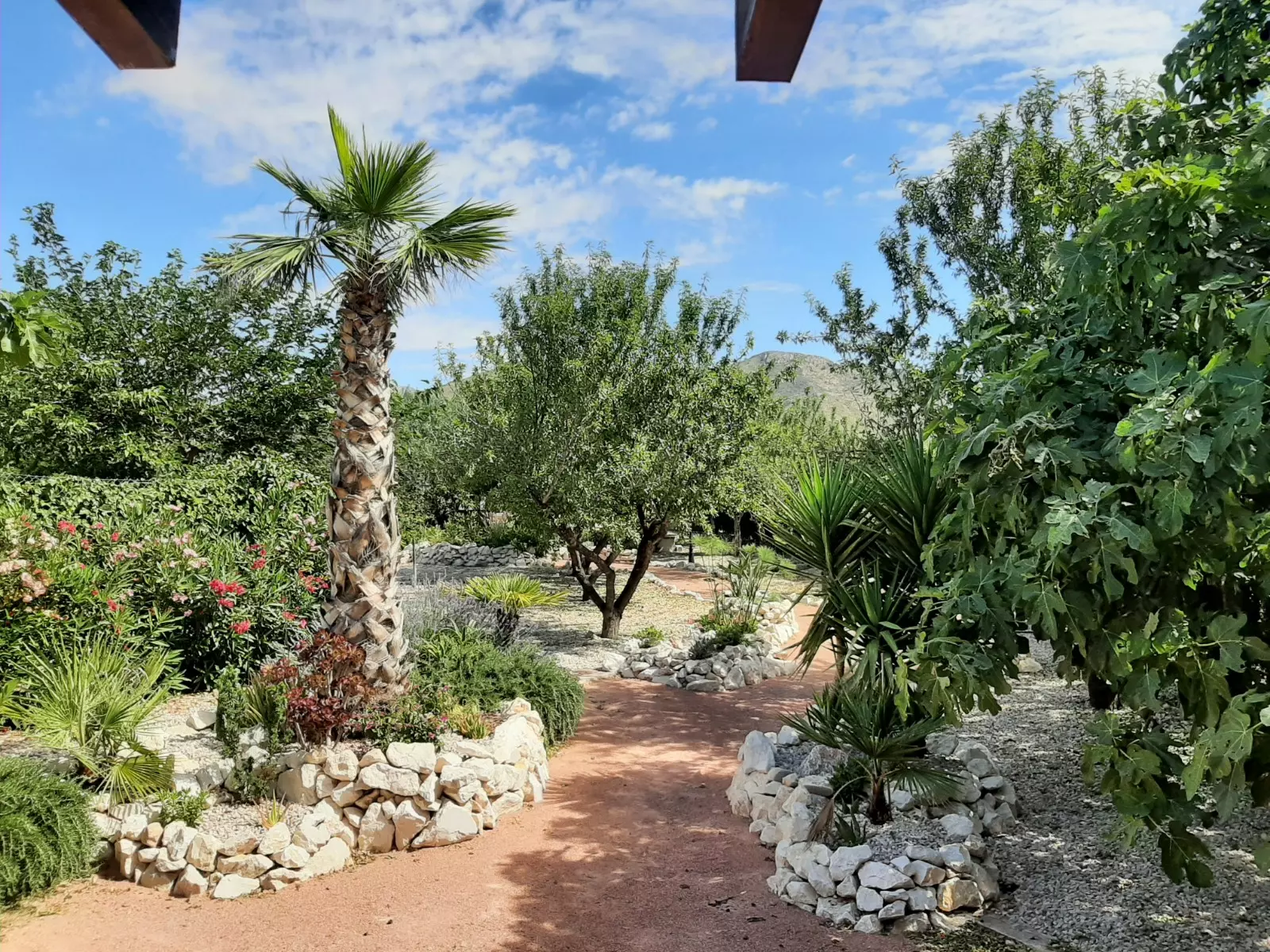 d6ac37e05e53876ac37e05e6892-5bdf3e 6-bedroom Detached Villa In Abanilla, Spain (455 M²)