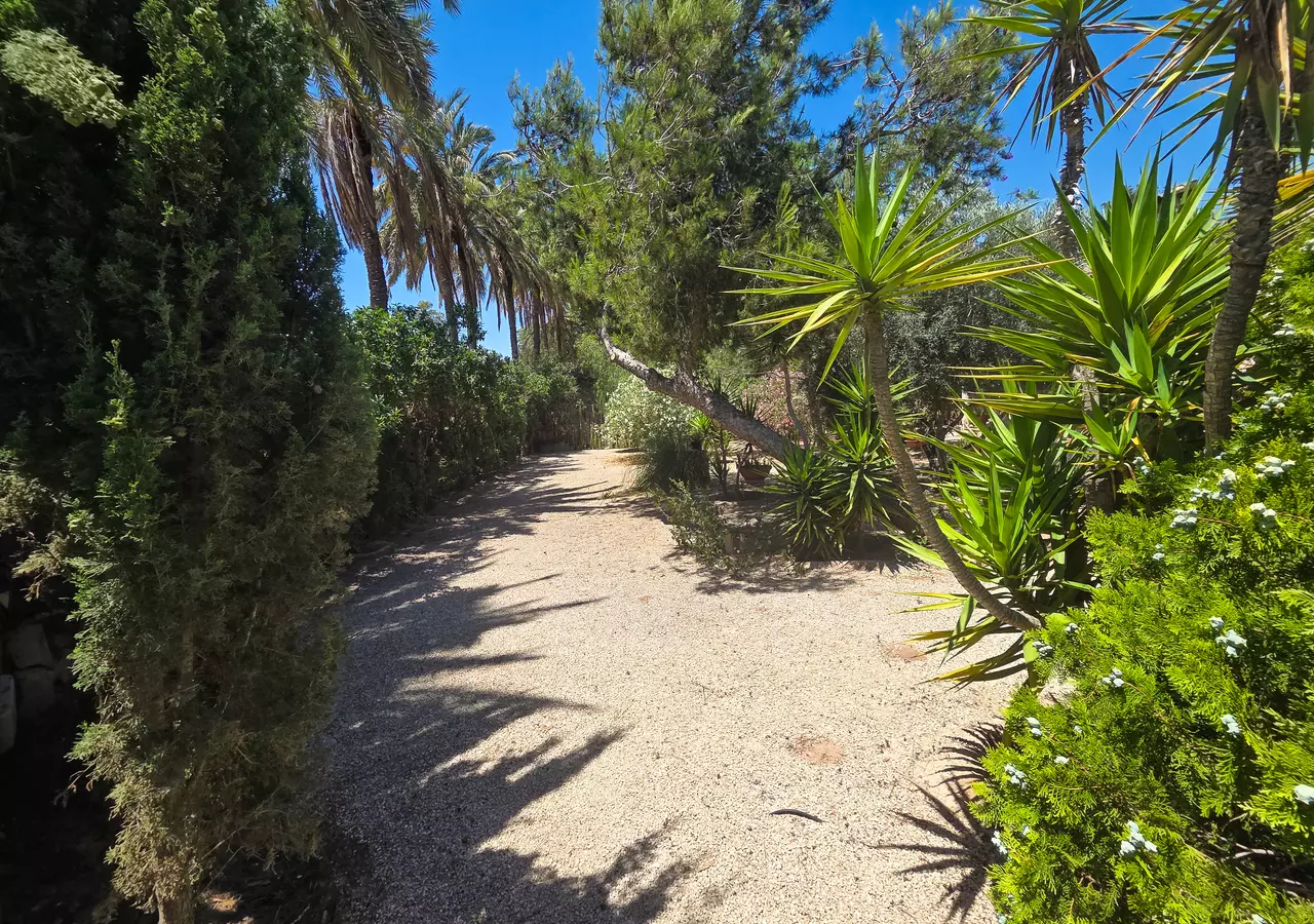 9-bedroom Villa In Elche, Spain (285 M²)