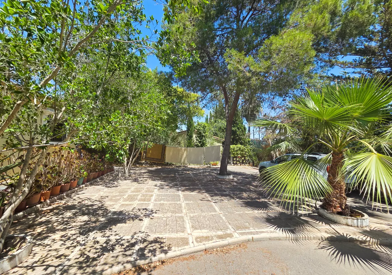 9-bedroom Villa In Elche, Spain (285 M²)