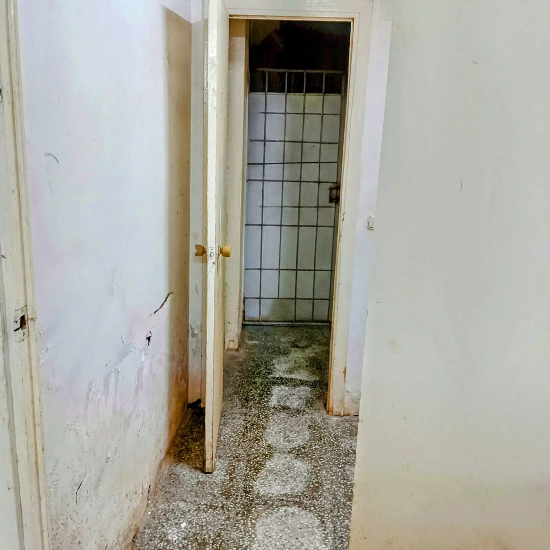 1-bedroom Warehouse In Benidorm, Spain (225 M²)